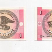 Банкноты 1 тыйын 1993 года (2 шт.), в/з орлы и грибы, Кыргызстан (UNC)