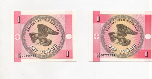 Банкноты 1 тыйын 1993 года (2 шт.), в/з орлы и грибы, Кыргызстан (UNC)